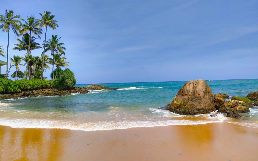 Top 5 Beaches in India You Must Visit Once in a Lifetime