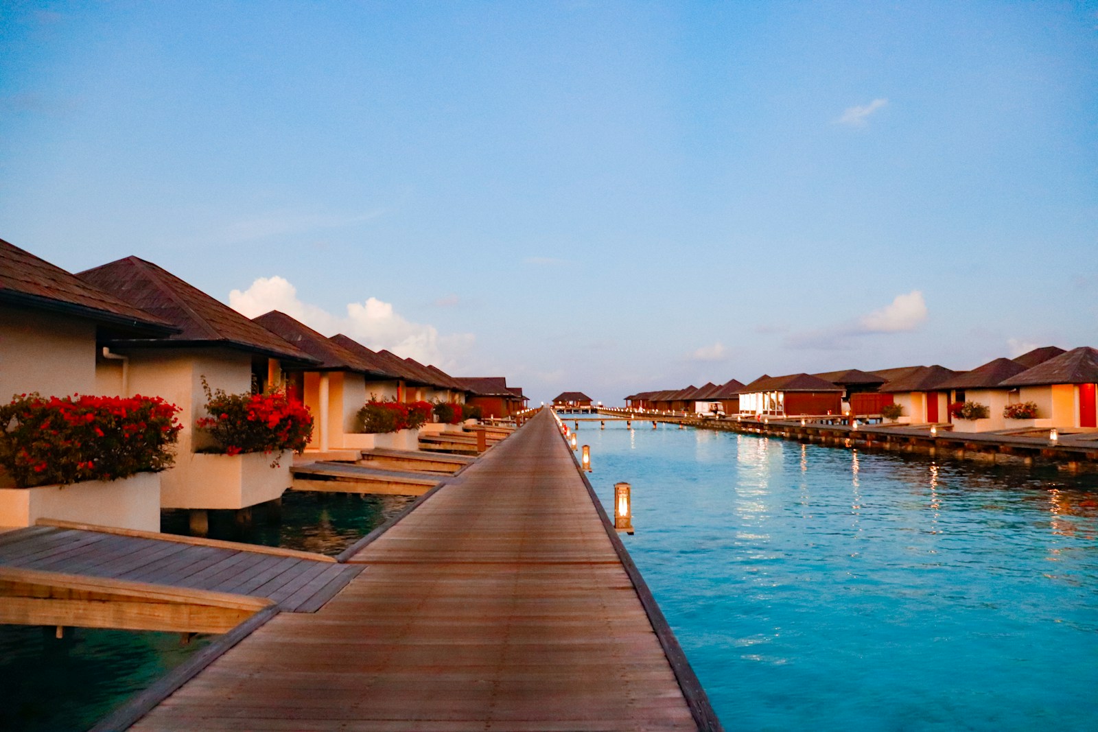 Overwater bungalows line a wooden path.