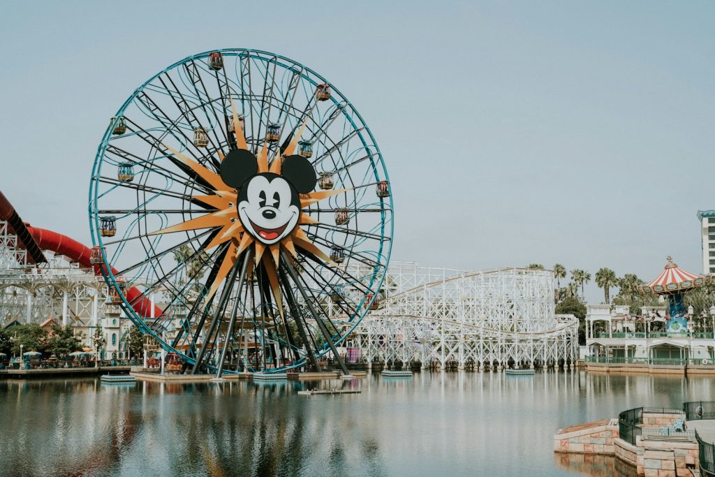 ferris wheel near body of water during daytime