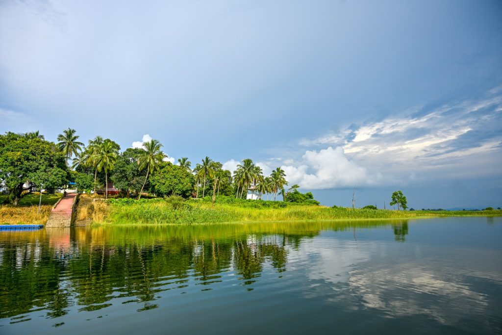 a body of water with trees and grass around it