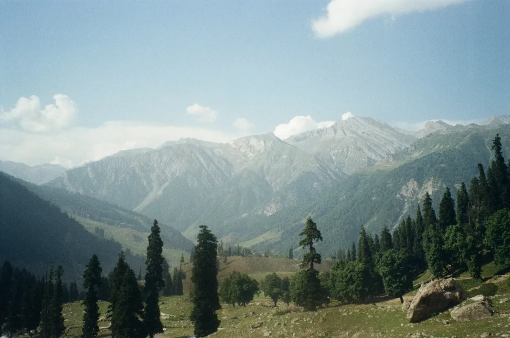 a view of a mountain range with trees in the foreground